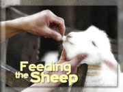 4/21/2013 message: Feeding the Sheep