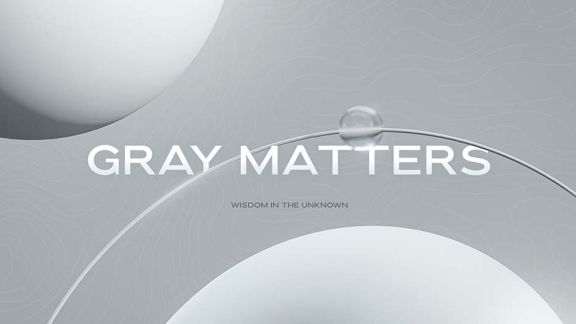 Gray-Matters-576x324