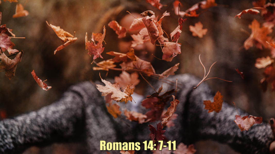 Belonging-11-6-22-Saints-Romans