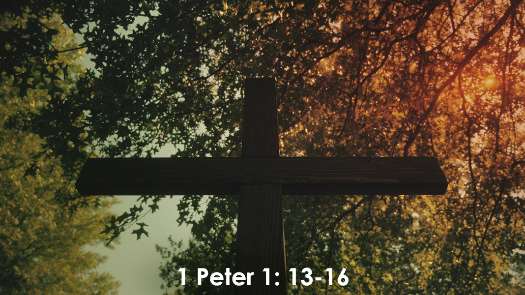 Discipleship-8-27-23-Holiness-Peter