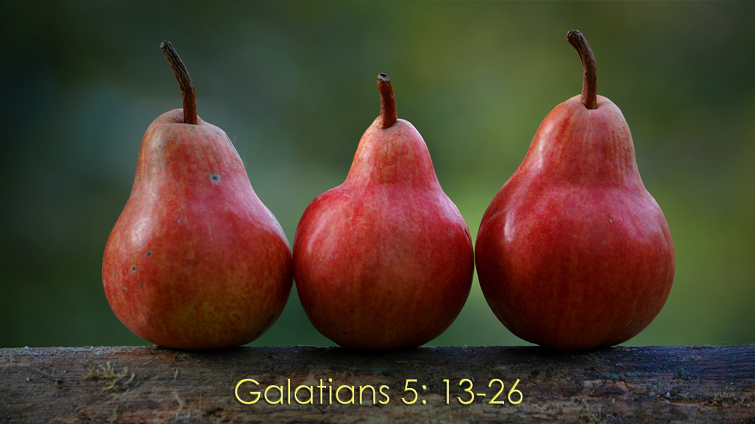 Discipleship-10-15-23-Fruit-Galatians