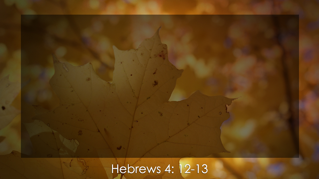 Discipleship-9-10-23-Authority-Hebrews