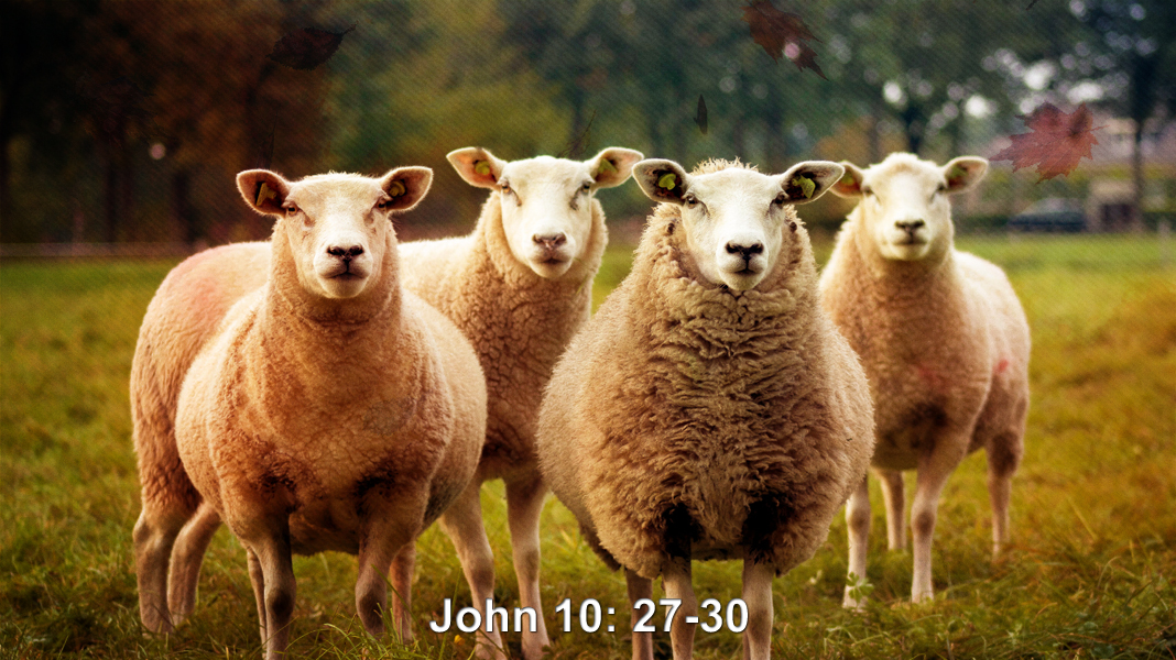 Family-of-God-10-24-21-Listen-John