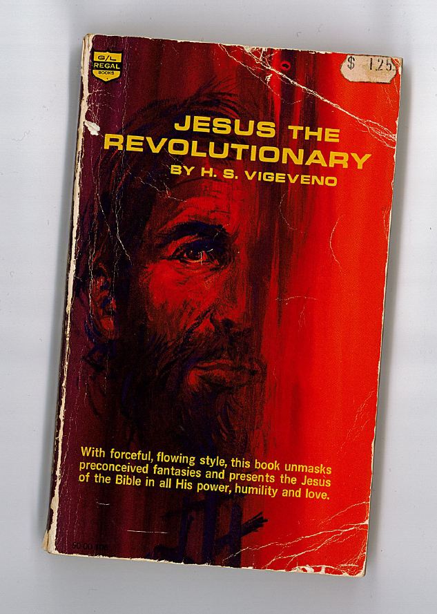 Jesus-This-Revolutionary