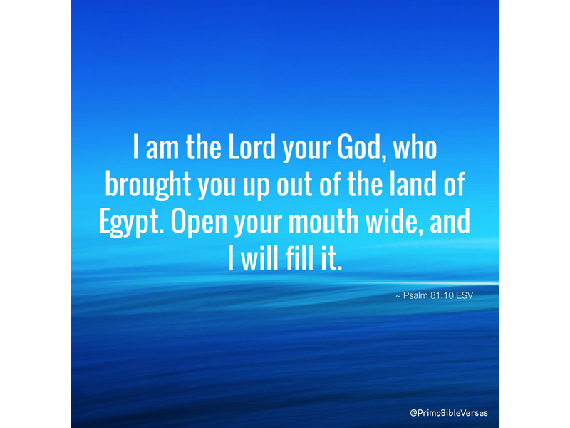 Psalms-Promise-Keeper-out-of-Egypt-v-10-web