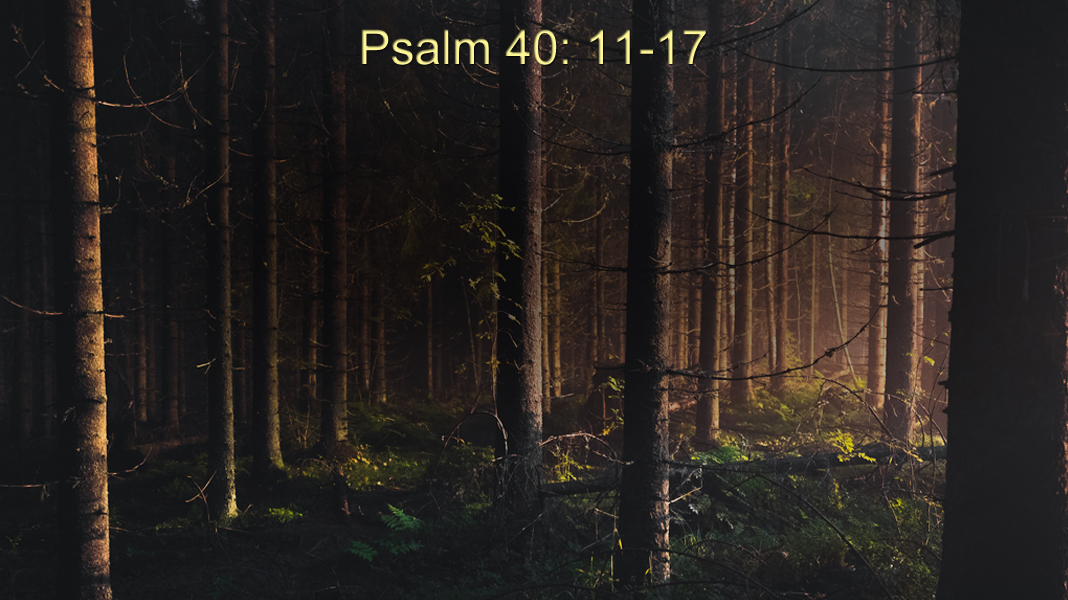 Help-Thanks-Wow-11-7-21-Help-Psalm-40