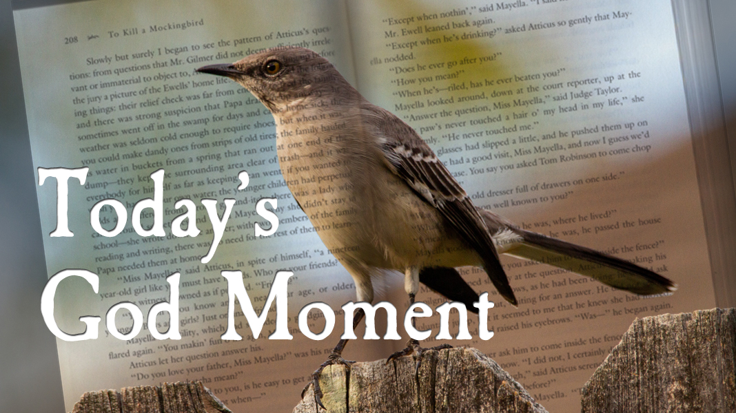 Mockingbird-God-moment