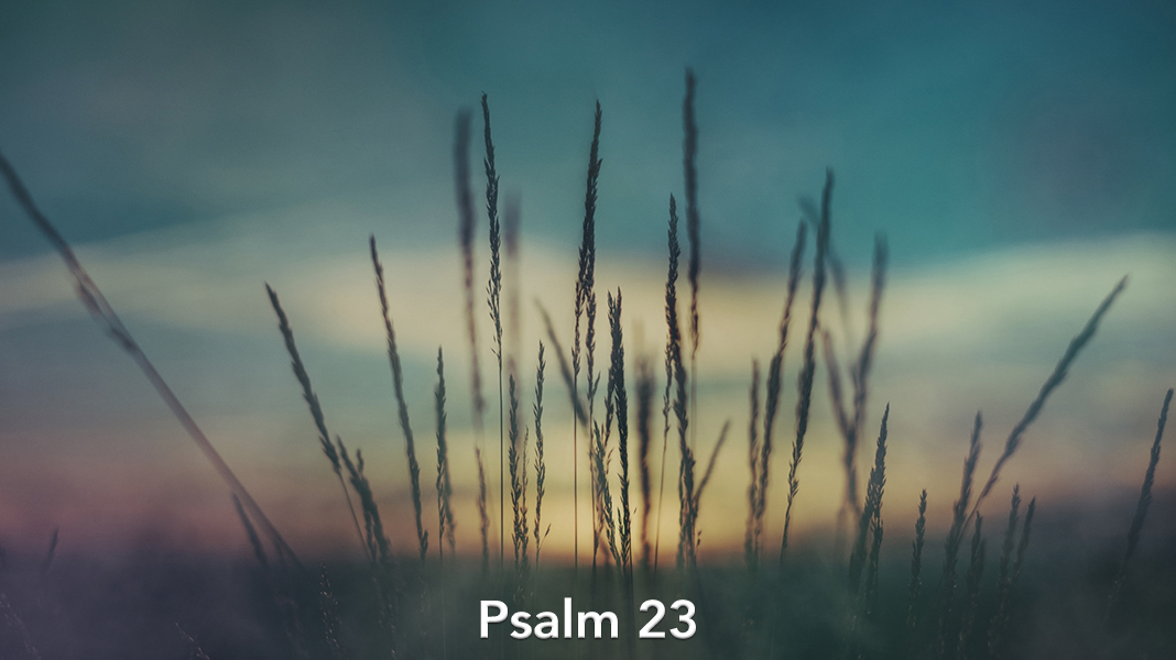 No-Fear-11-19-23-Commitment-Psalm