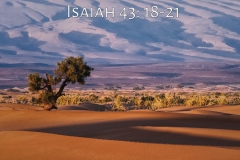Quest-8-15-21-Youth-Isaiah