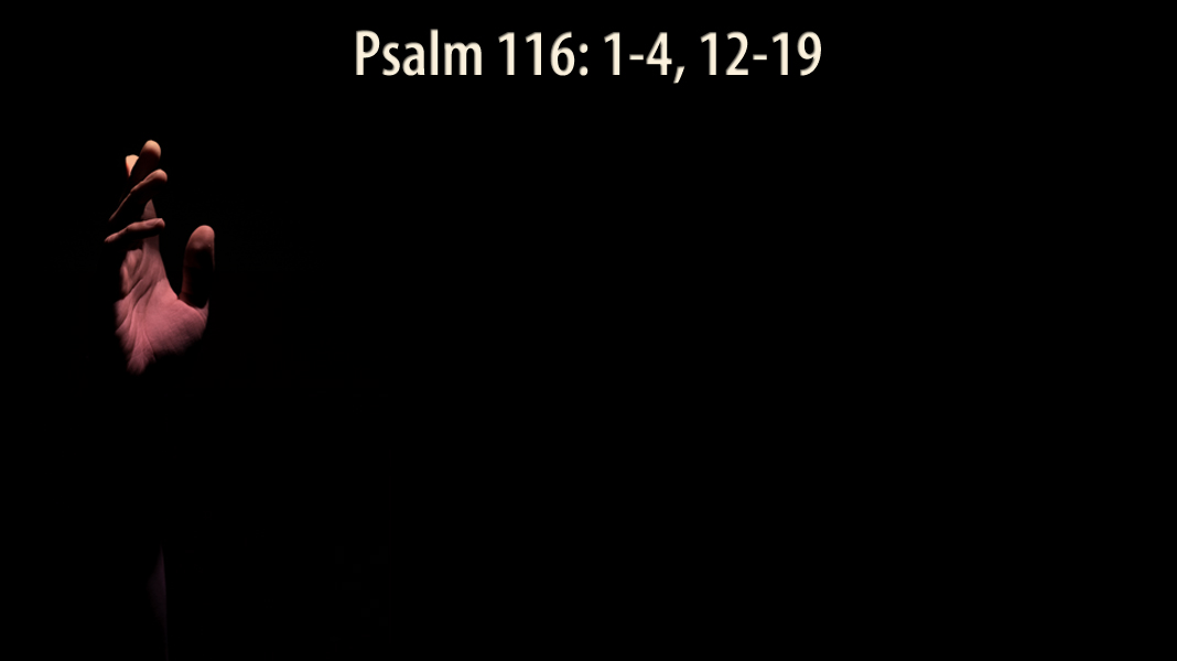 Selah-4-14-22-Basin-Psalm-116