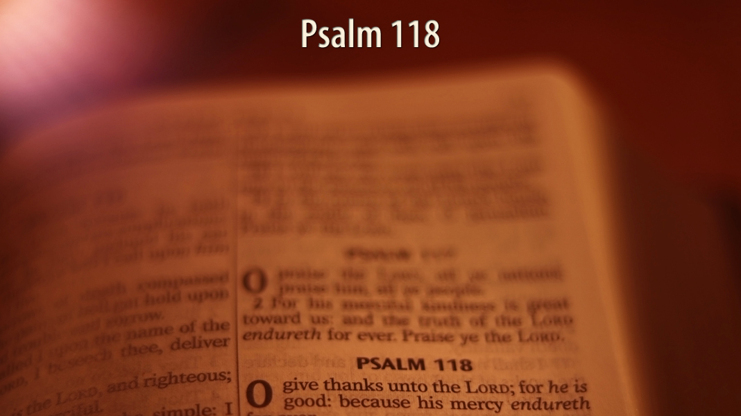 Selah-4-10-22-Palm-Psalm-118