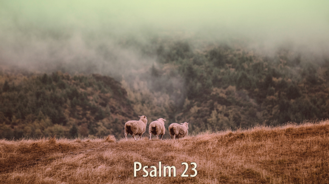 Selah-3-27-22-Right-Paths-Psalm-23