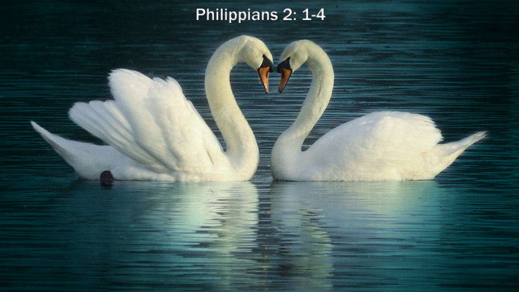Sexuality-8-28-22-More-Philippians