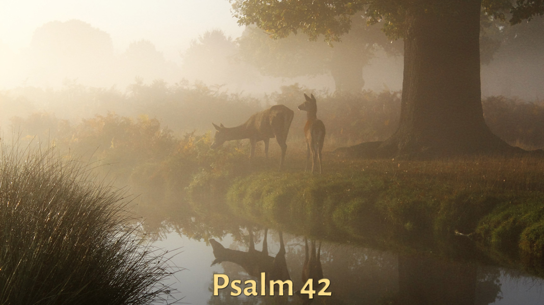 Spirit-6-19-22-Silence-Psalm