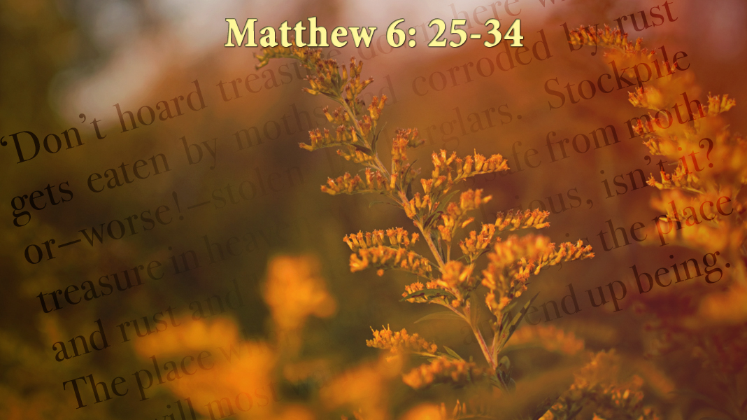 Treasure-10-30-22-Dont-Matthew