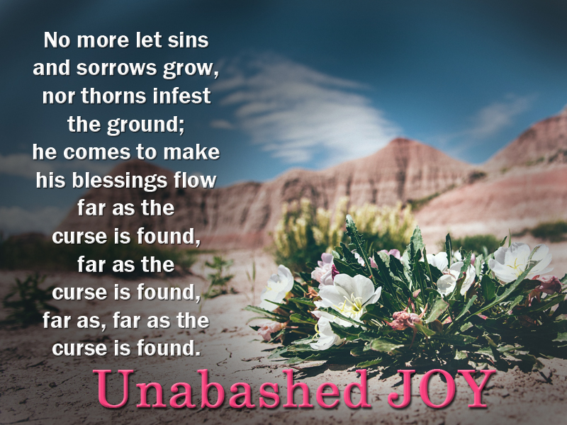 Joy-12-15-19-Unabashed-1a