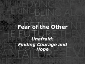 Fear-of-the-Other-300x225